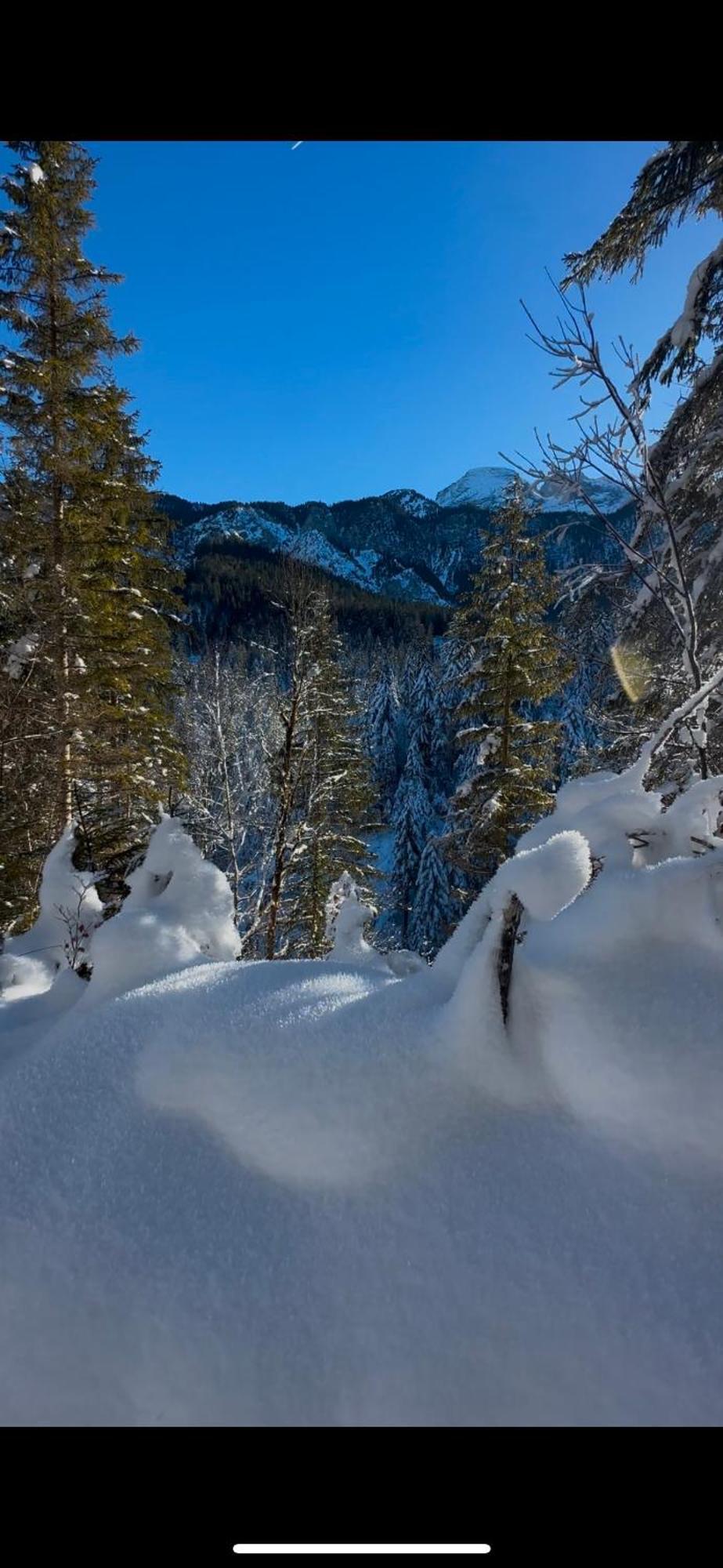 Haus Mit Wunderschoenem Ausblick Und Garten Garmisch-Partenkirchen Dış mekan fotoğraf